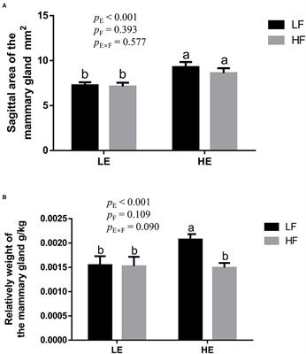 Effects of Energy and Dietary Fiber on the Breast Development in Gilt